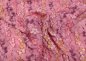Preview: Tina Stickereistoff altrosa dehnbar eingestickte Blumen mit Glitzer